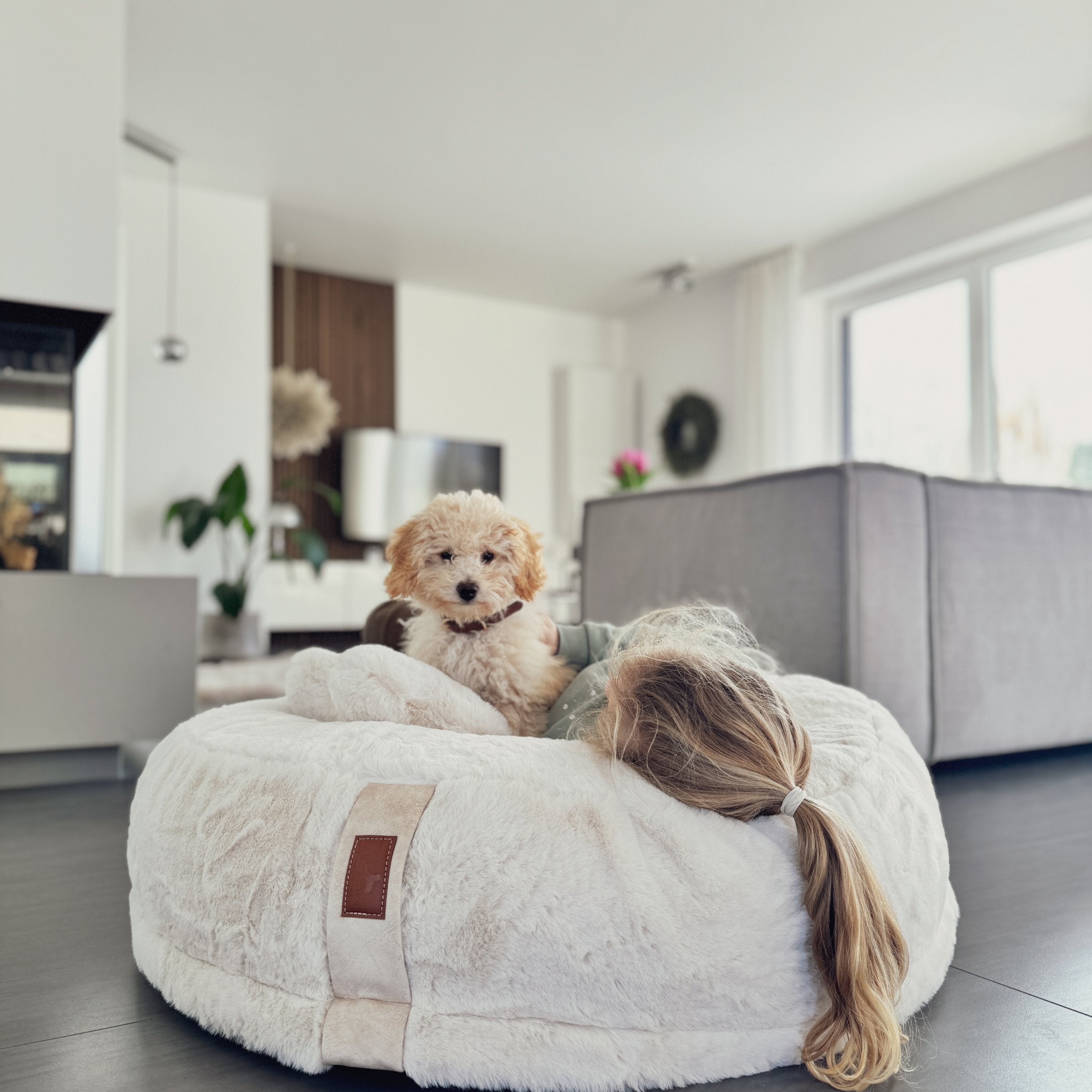 Hyggebed® - Das orthopädische Hundebett Ivory