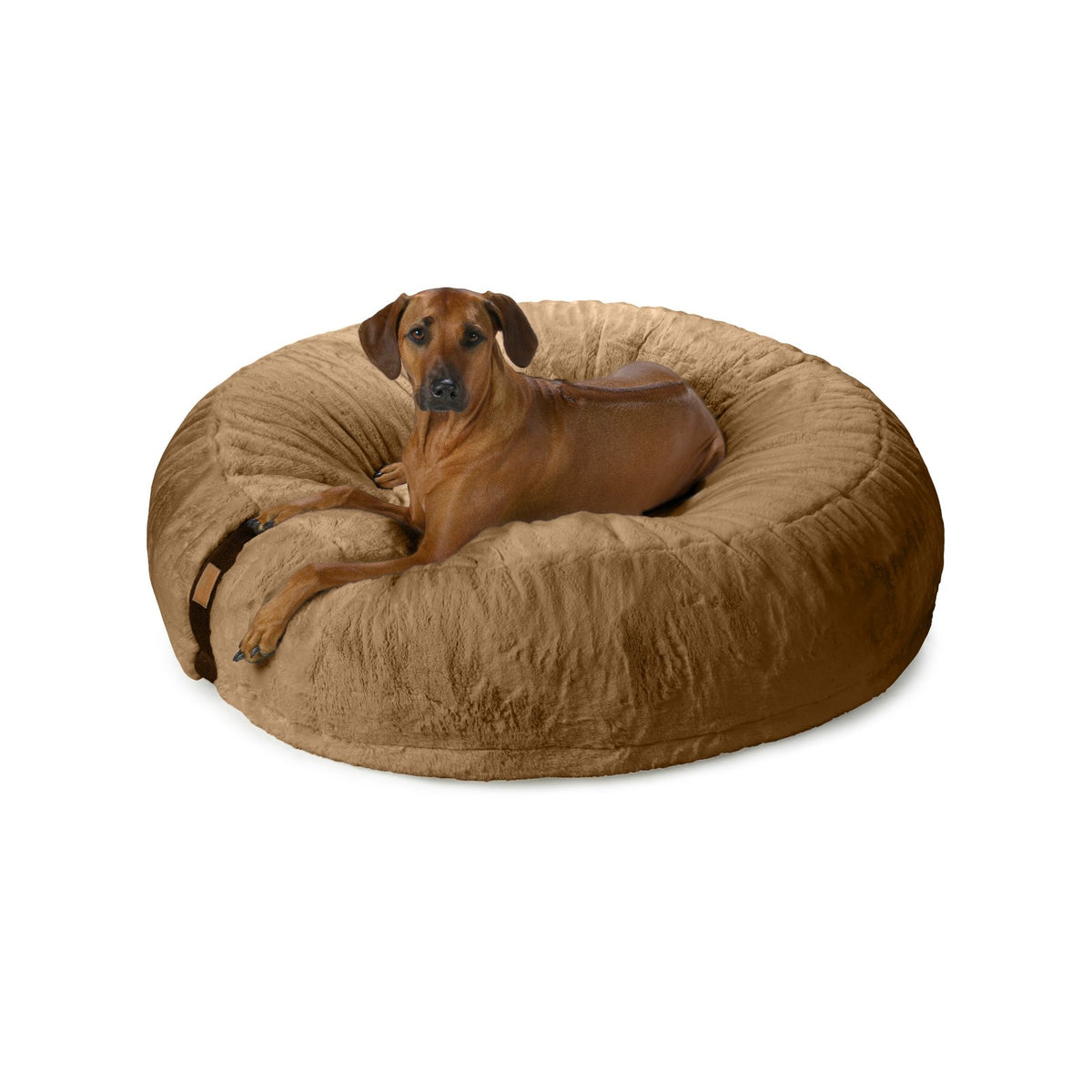 Rhodesian Ridgeback im großen braunen orthopädischen Hundebett Hyggebed Original in der Farbe Maroon Braun