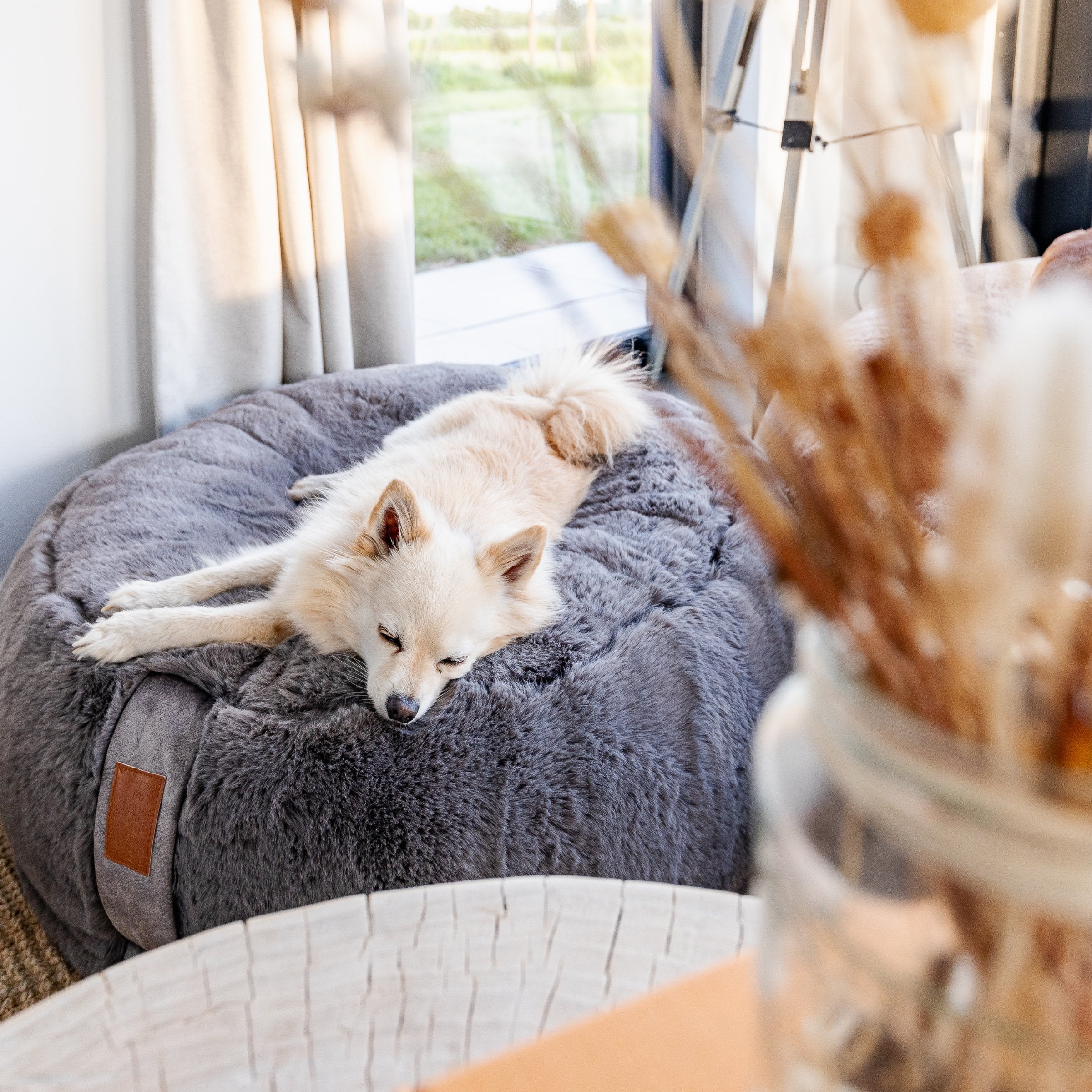 Zeigt, wie herrlich sich auch kleinere, helle Hunde auf dem kontrastreichen Stone-Grau einkuscheln.