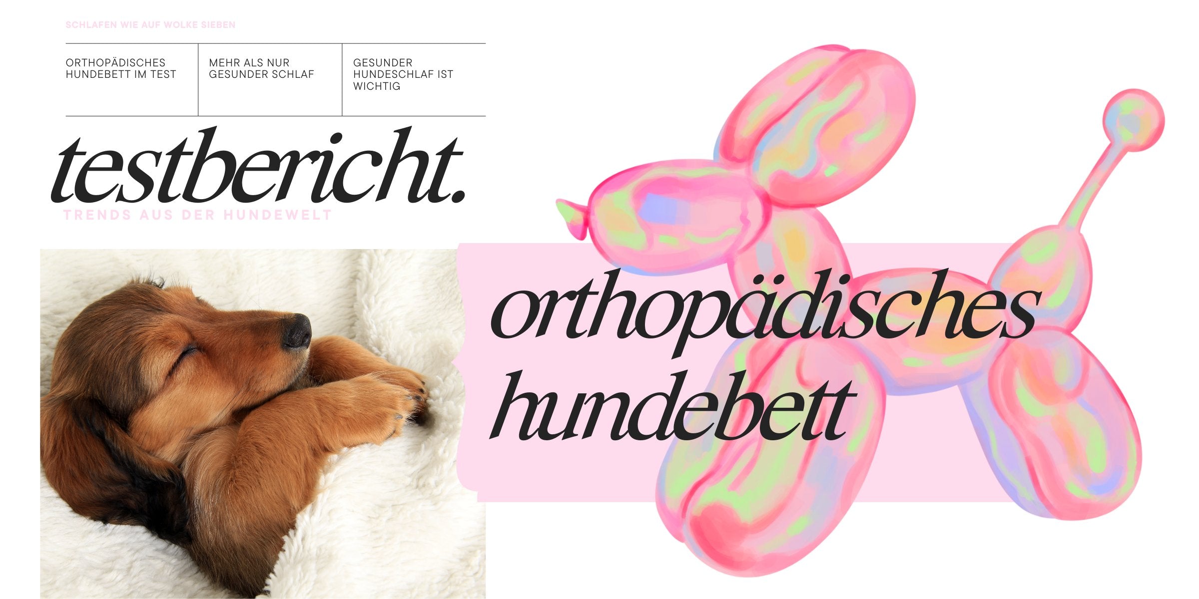 Orthopädisches Hundebett im Test: Stefanie und Lilly teilen ihre hyggelige Erfahrung