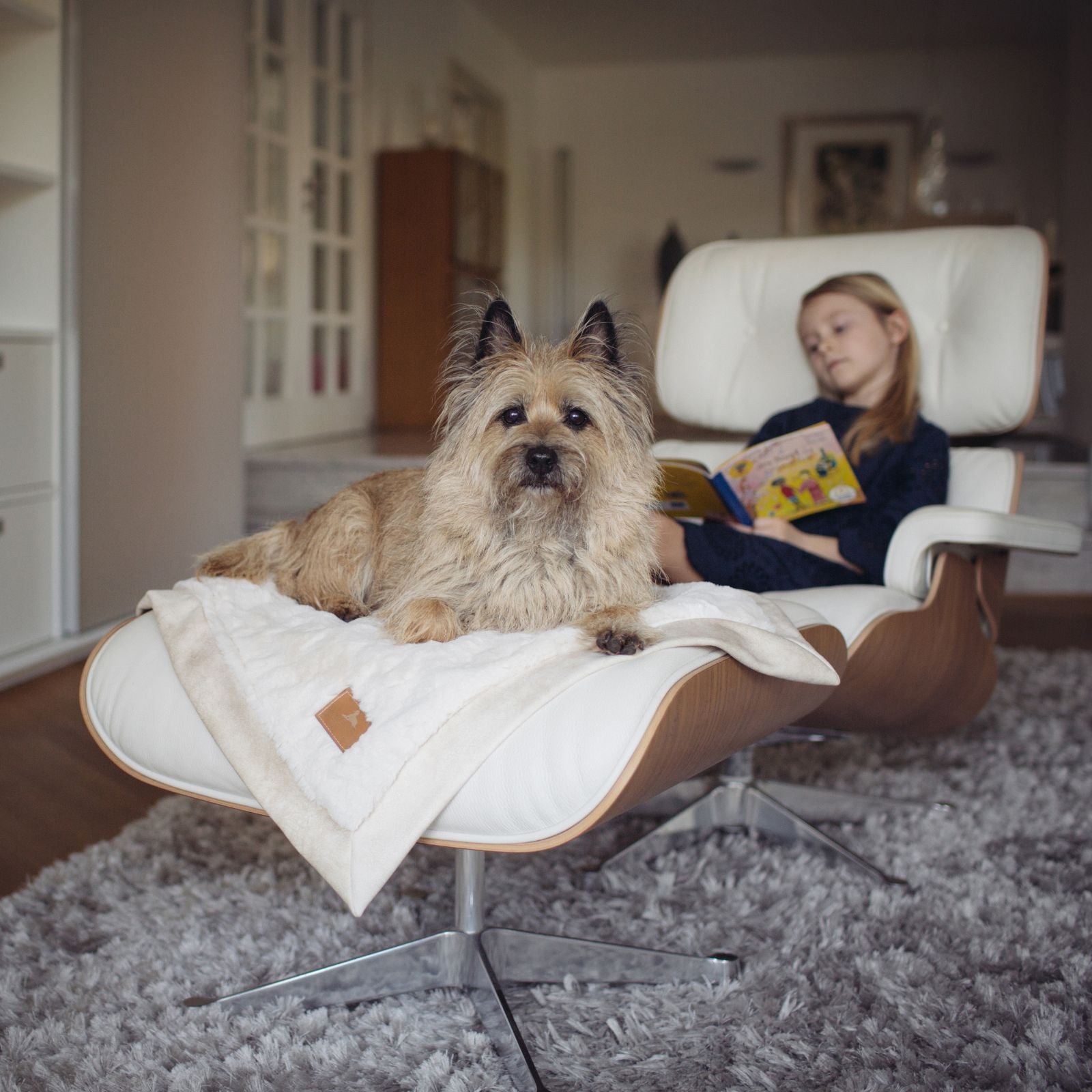 Hund liegt entspannt auf der Fußstütze eines Design-Sessels auf der cremeweißen Hyggeplaid Hundedecke Ivory