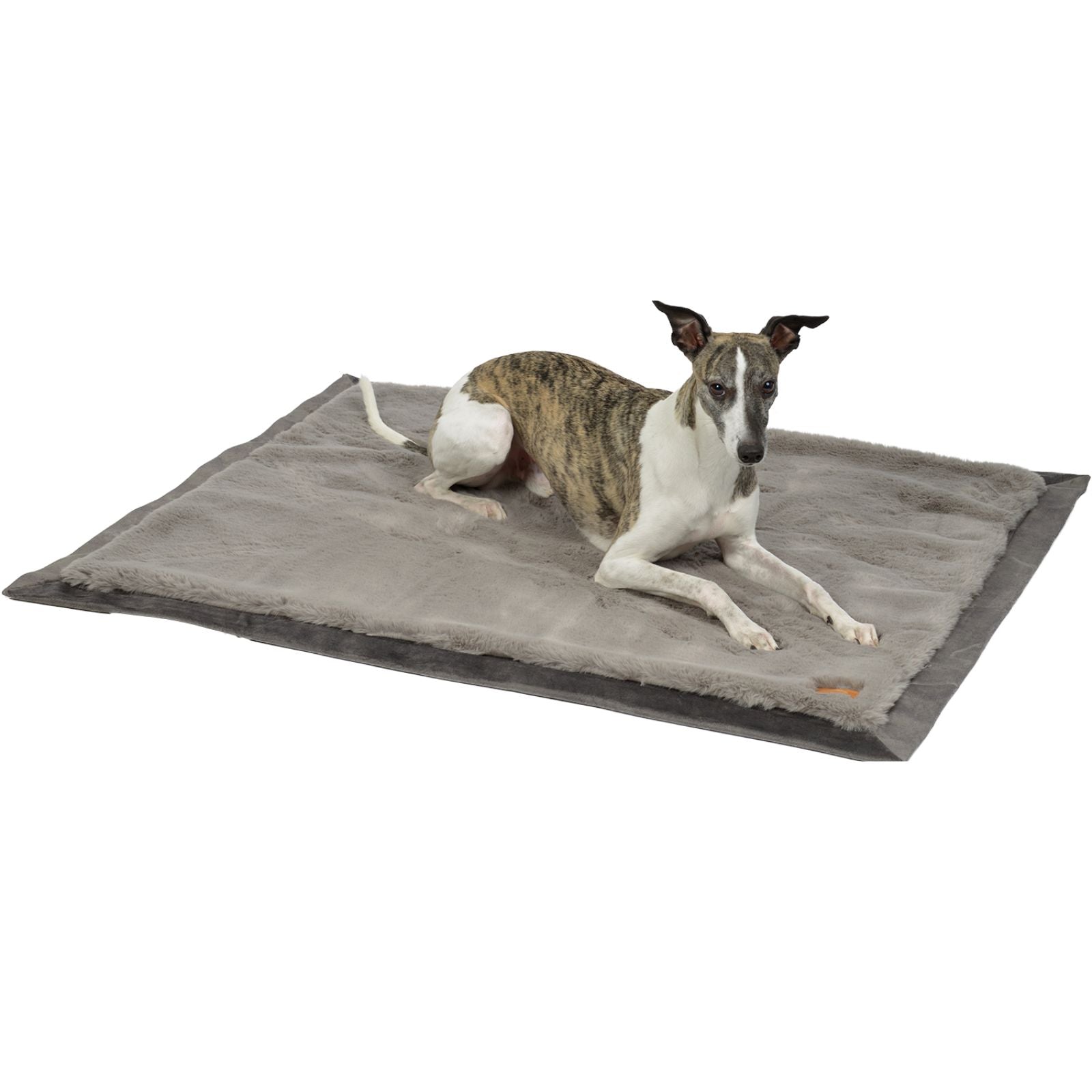 Freigestellte zweiseitige Hundedecke Hyggeplaid in Stone Grau mit darauf liegendem gestromten Whippet