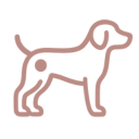 Icon Hundebett bei Arthrose HD und ED Empfehlung