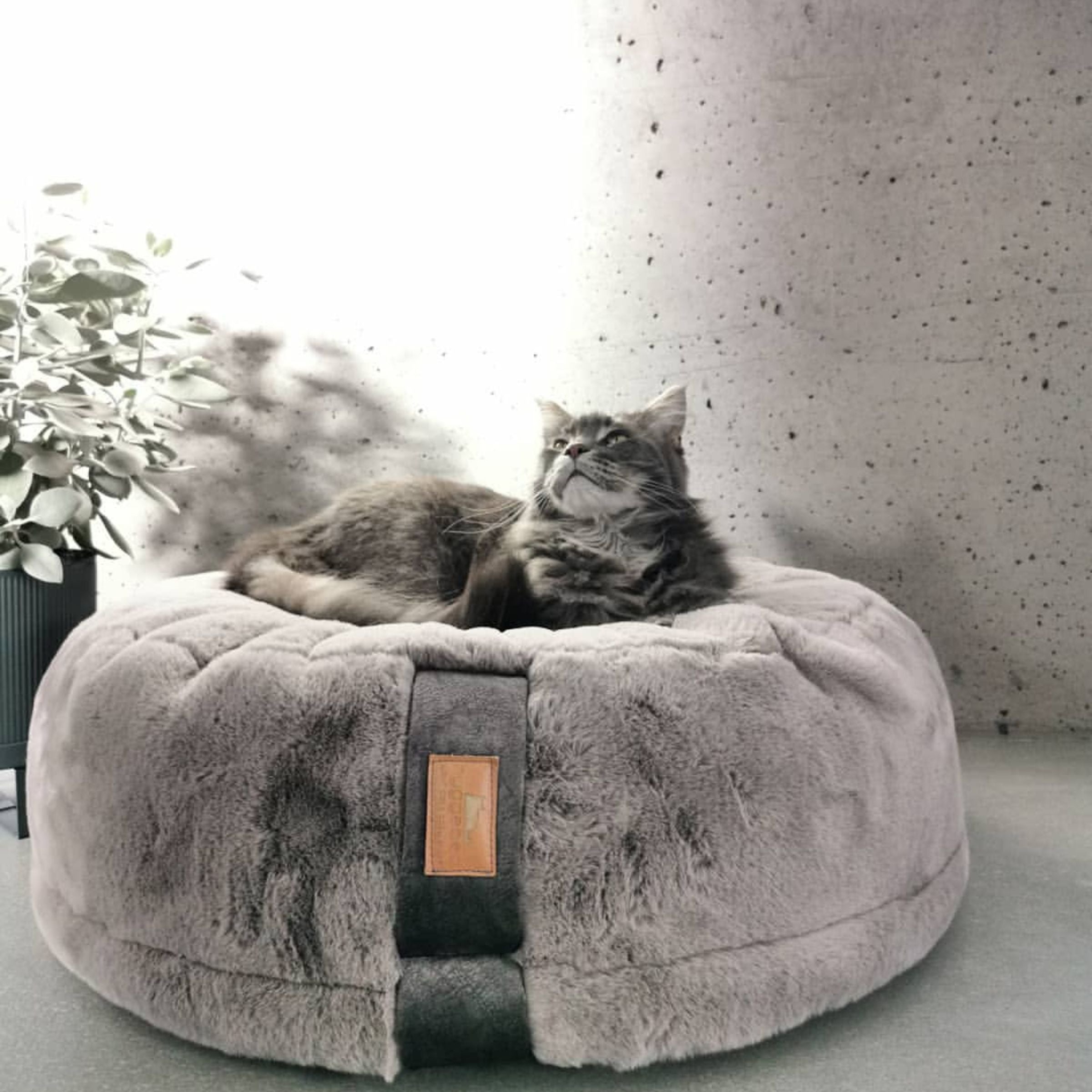 Hyggebed® - Das orthopädische Katzenbett Stone