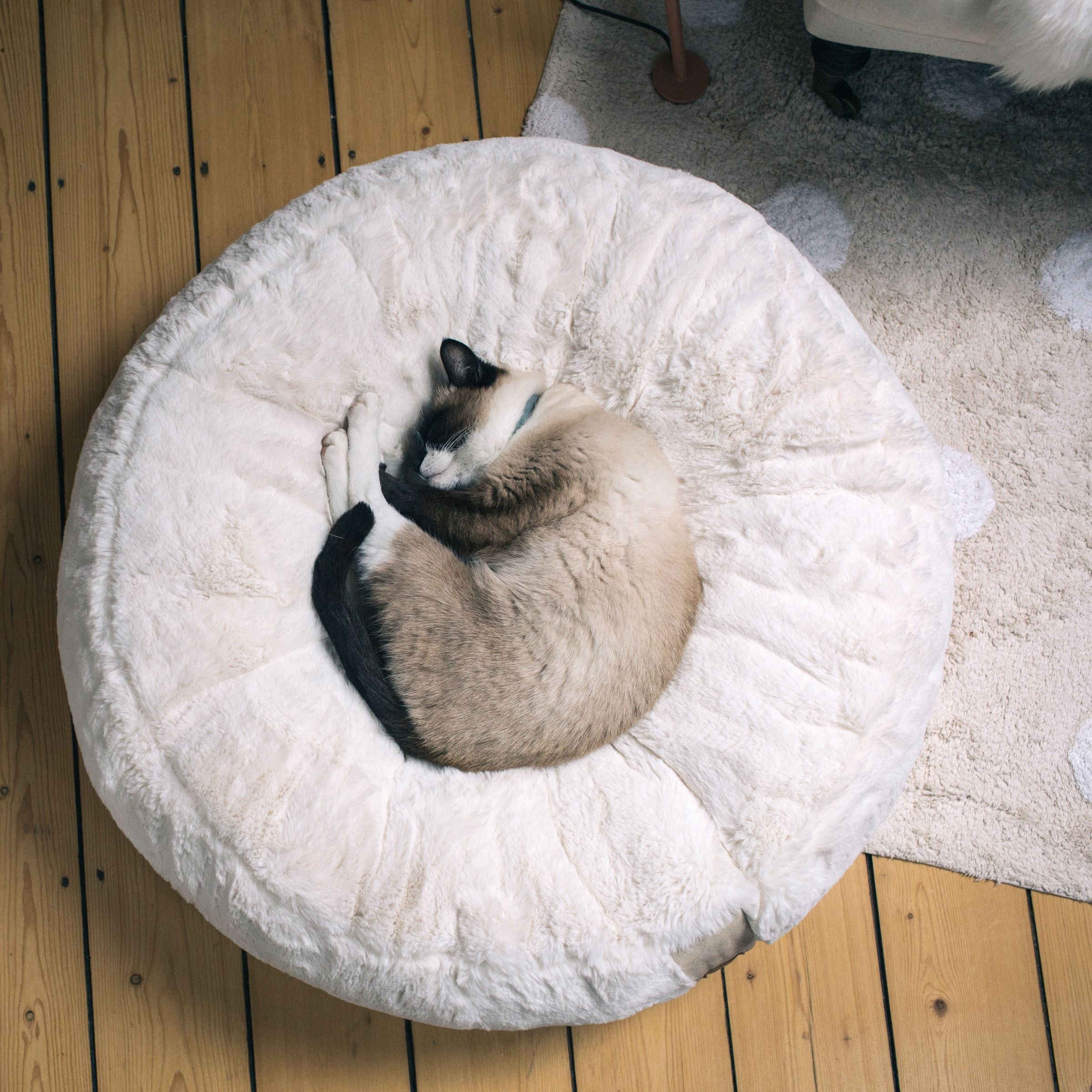 Hyggebed® - Das orthopädische Katzenbett Ivory