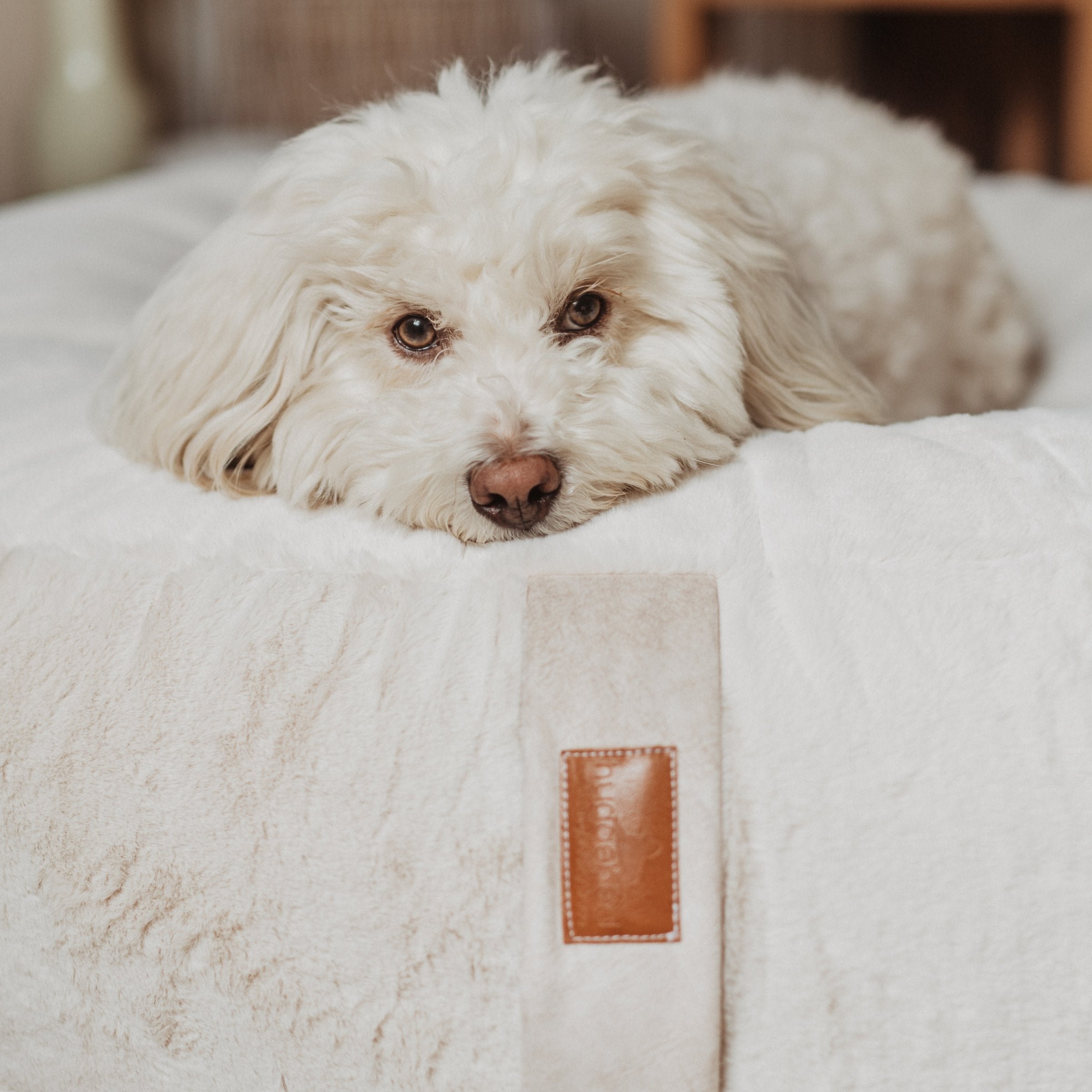Hyggebed® - Das orthopädische Hundebett Ivory