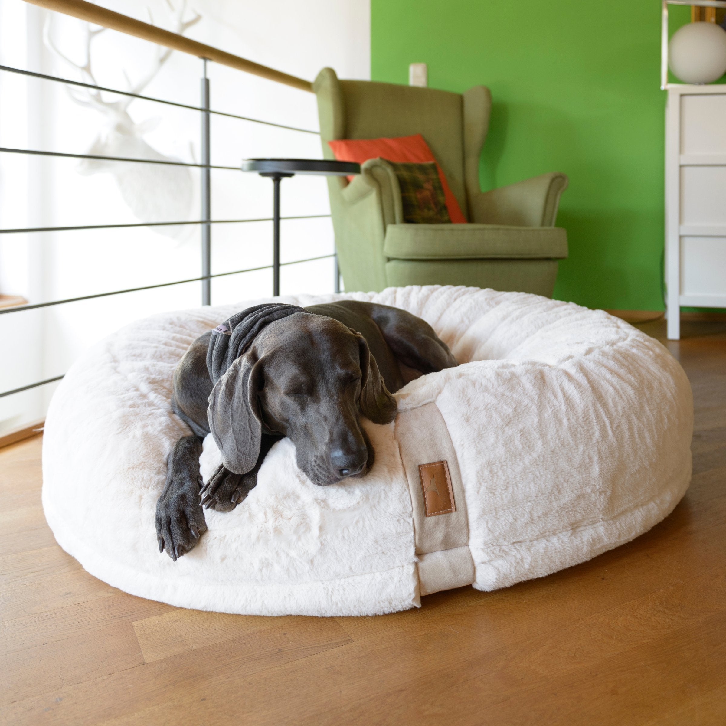 Hyggebed® - Das orthopädische Hundebett Ivory