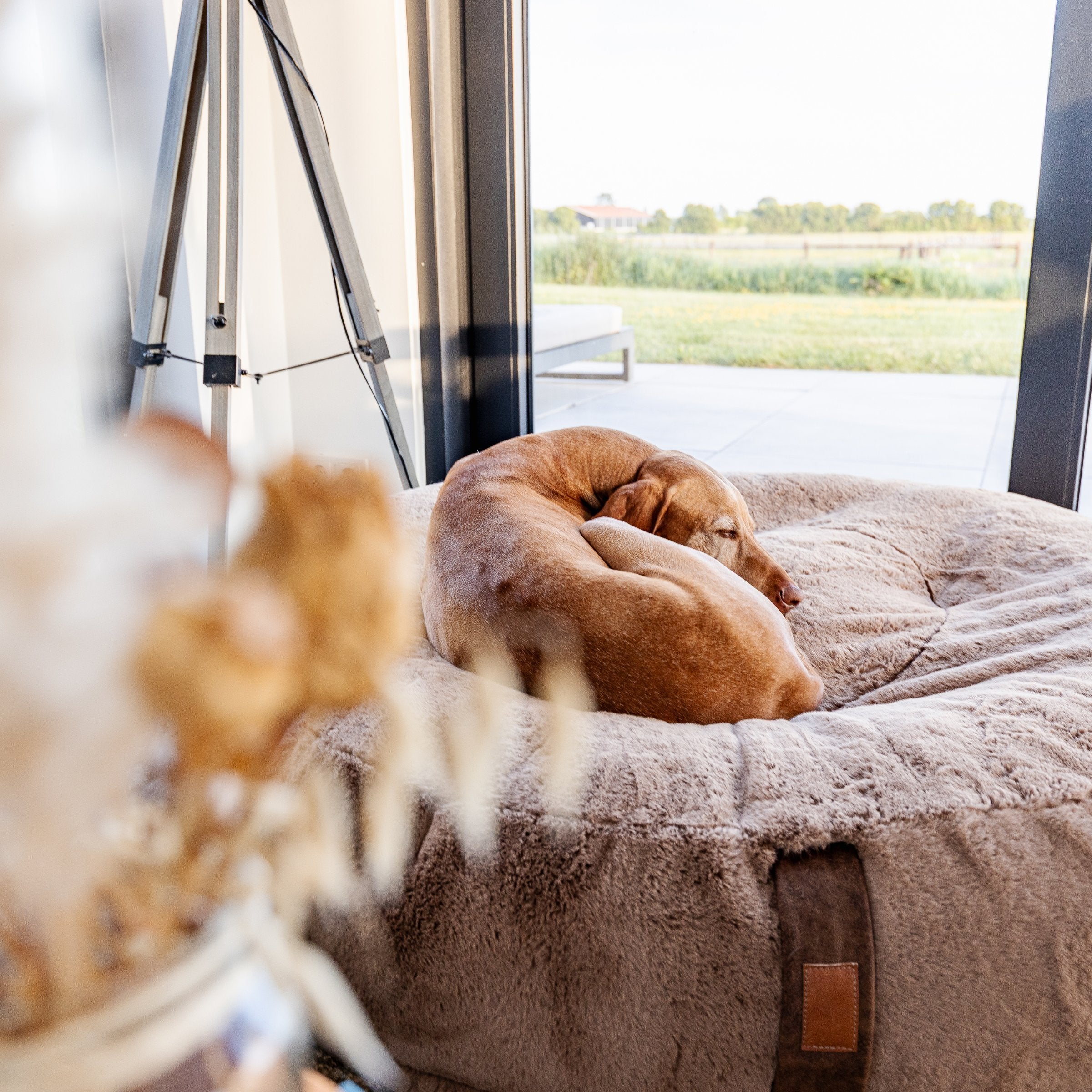 Hyggebed® - Das orthopädische Hundebett Maroon