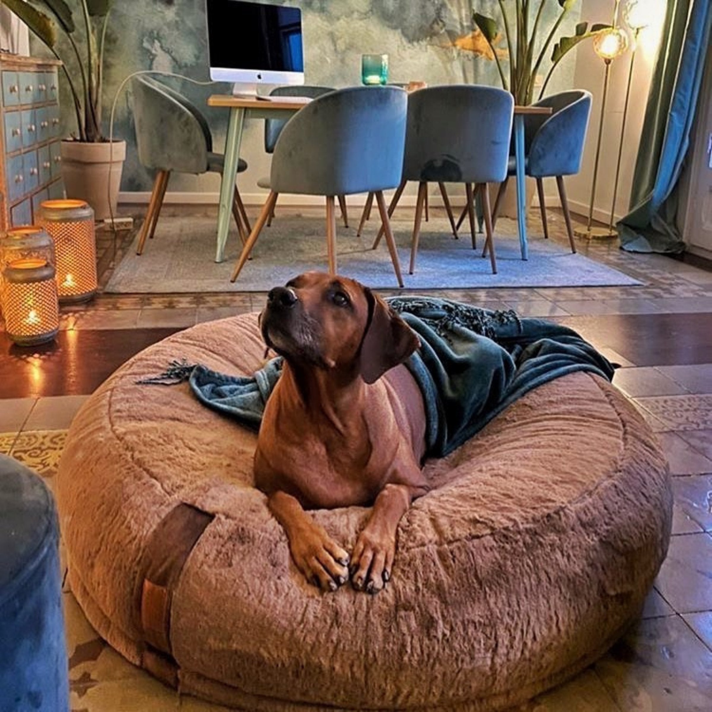 Hyggebed® - Das orthopädische Hundebett Maroon