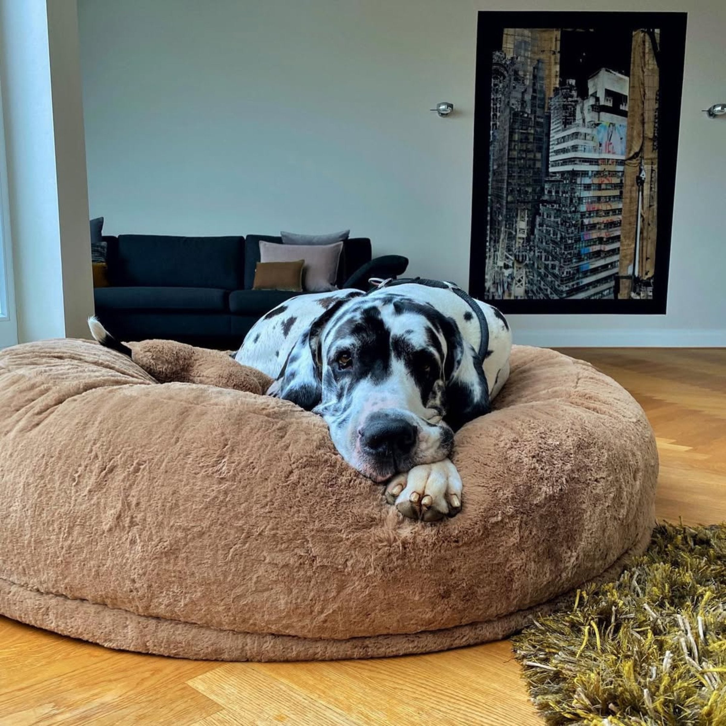 Hyggebed® - Das orthopädische Hundebett Maroon