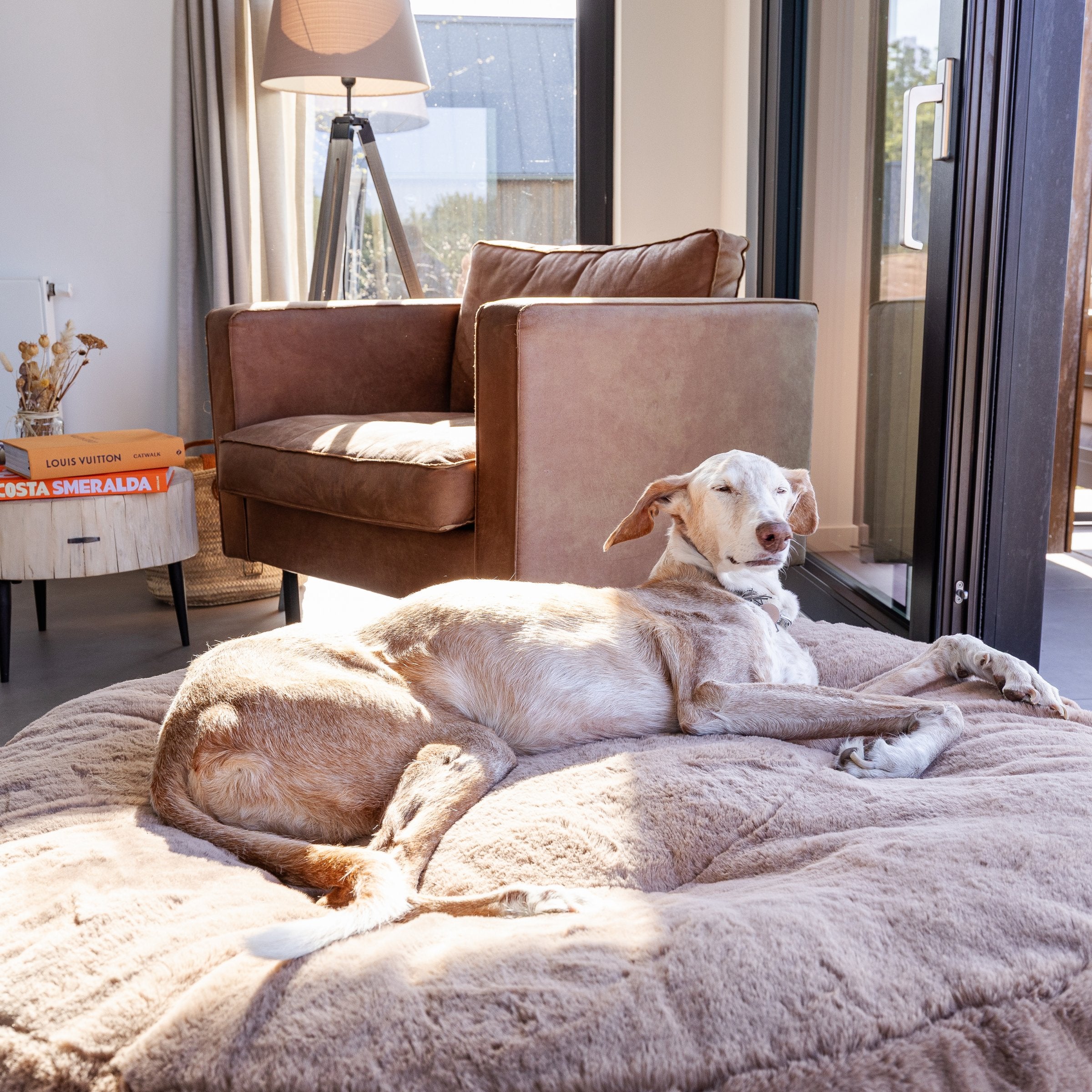 Hyggebed® - Das orthopädische Hundebett Maroon