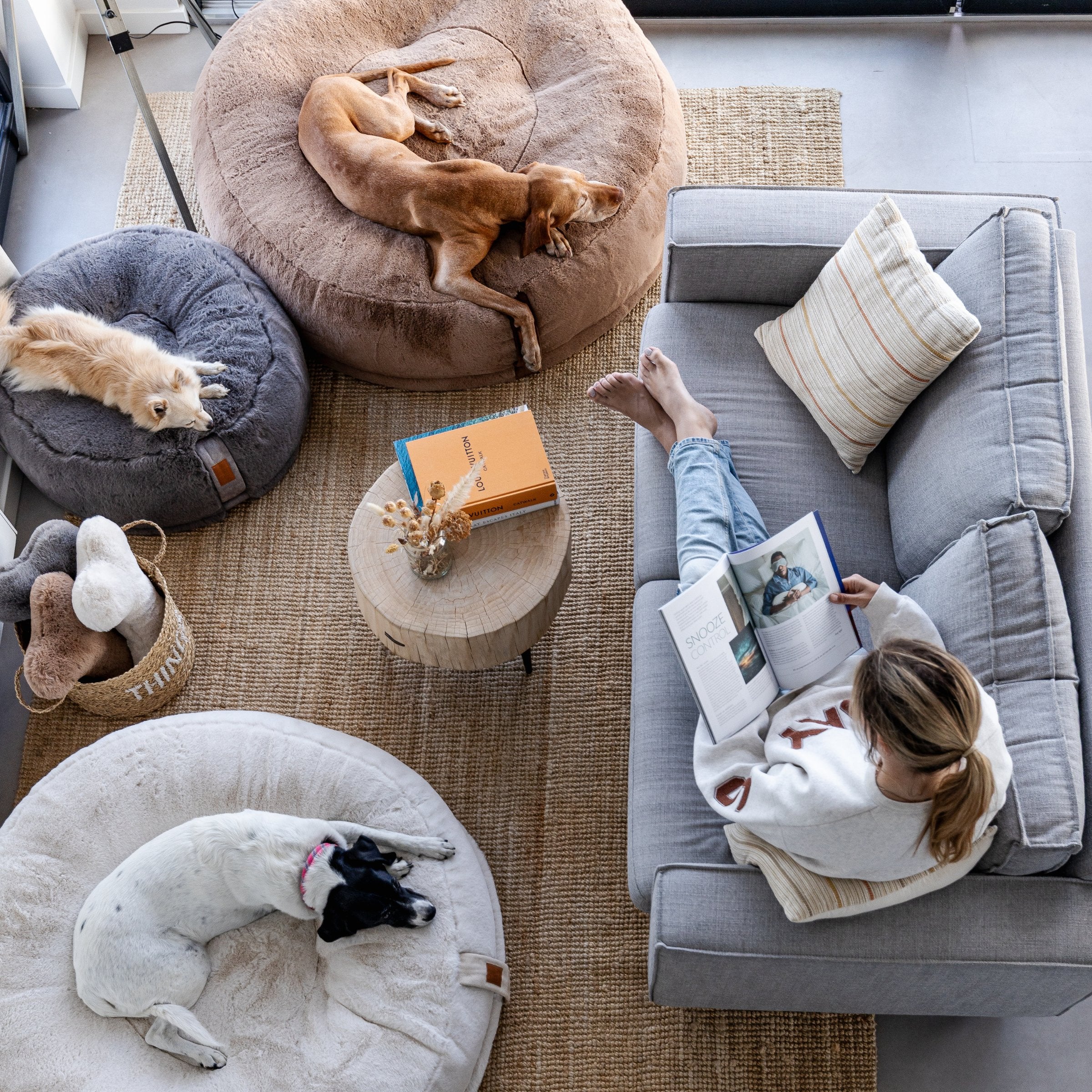 Drei Hunde schlafen in orthopädischen Hyggebed Hundebetten verschiedener Größen und Farben (Stone Grau, Ivory Weiß, Maroon Braun) neben Sofa