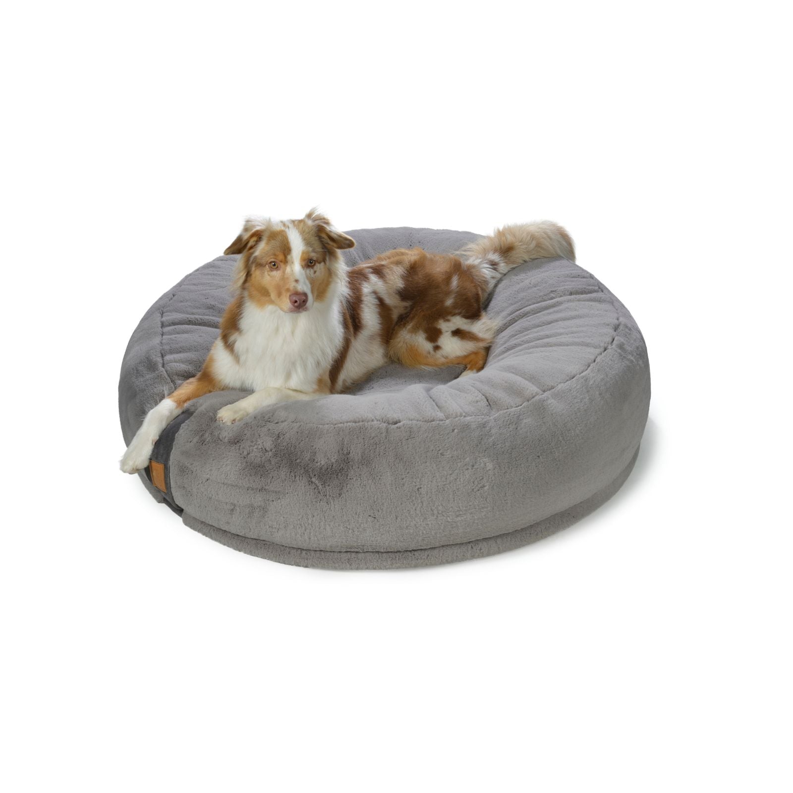 Australian Shepherd liegt gemütlich im grauen orthopädischen Hundebett Hyggebed Original in der Farbe Stone Grau