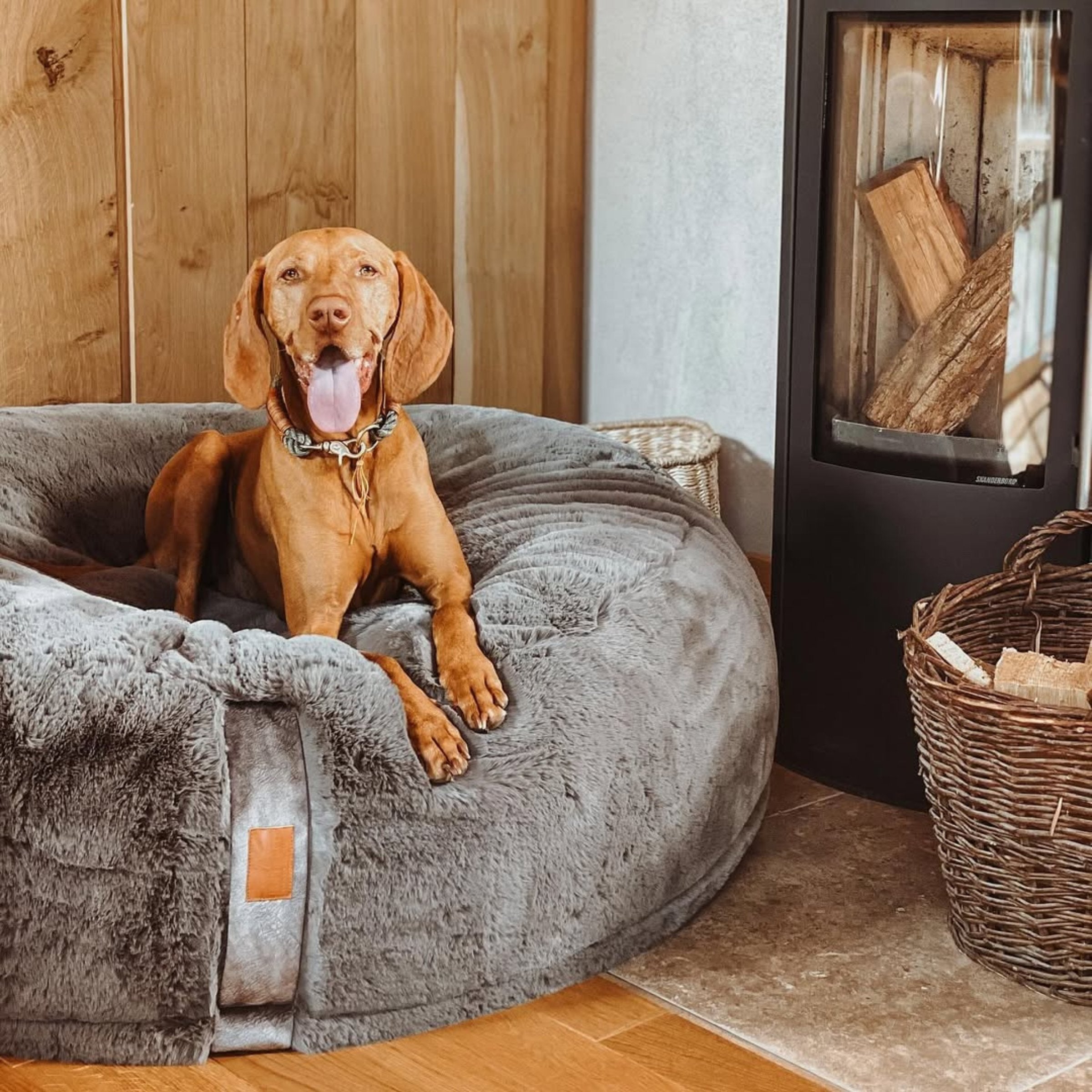 Kurzhaariger brauner Vizsla Hund sitzt stolz im grauen orthopädischen Hundebett Hyggebed Stone neben einem brennenden Kamin