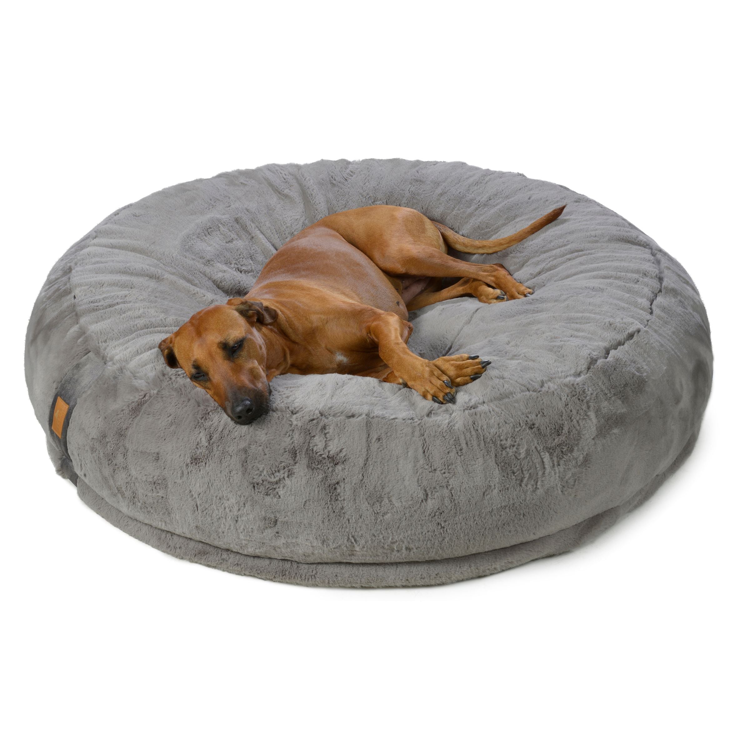 Fresiteller Ridgeback entspannt im grauen orthopädischen Hundebett XXL Hyggebed Stone 