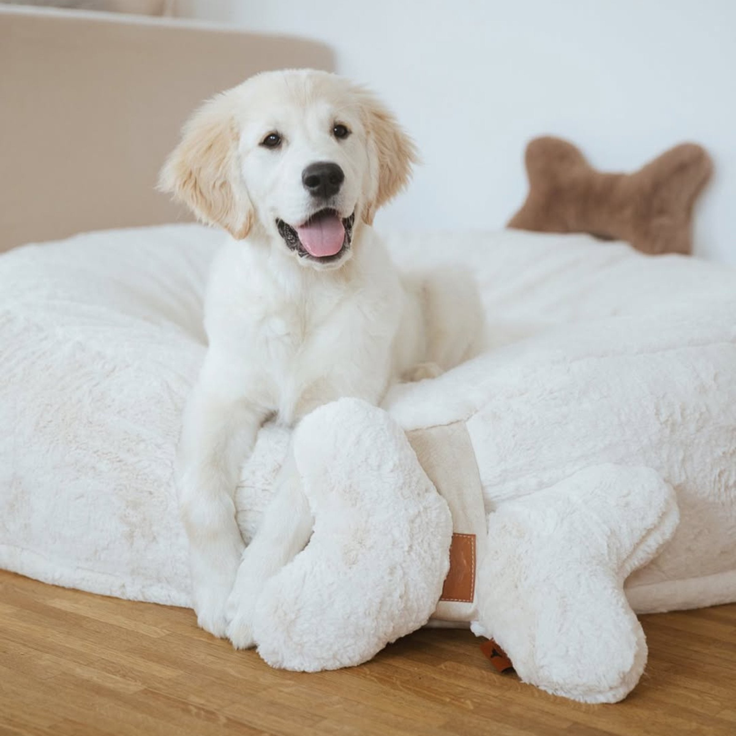 Weißer Golden Retriever Welpe liegt glücklich im passenden weißen Hyggebed mit dem Hyggebone Kissen in Ivory