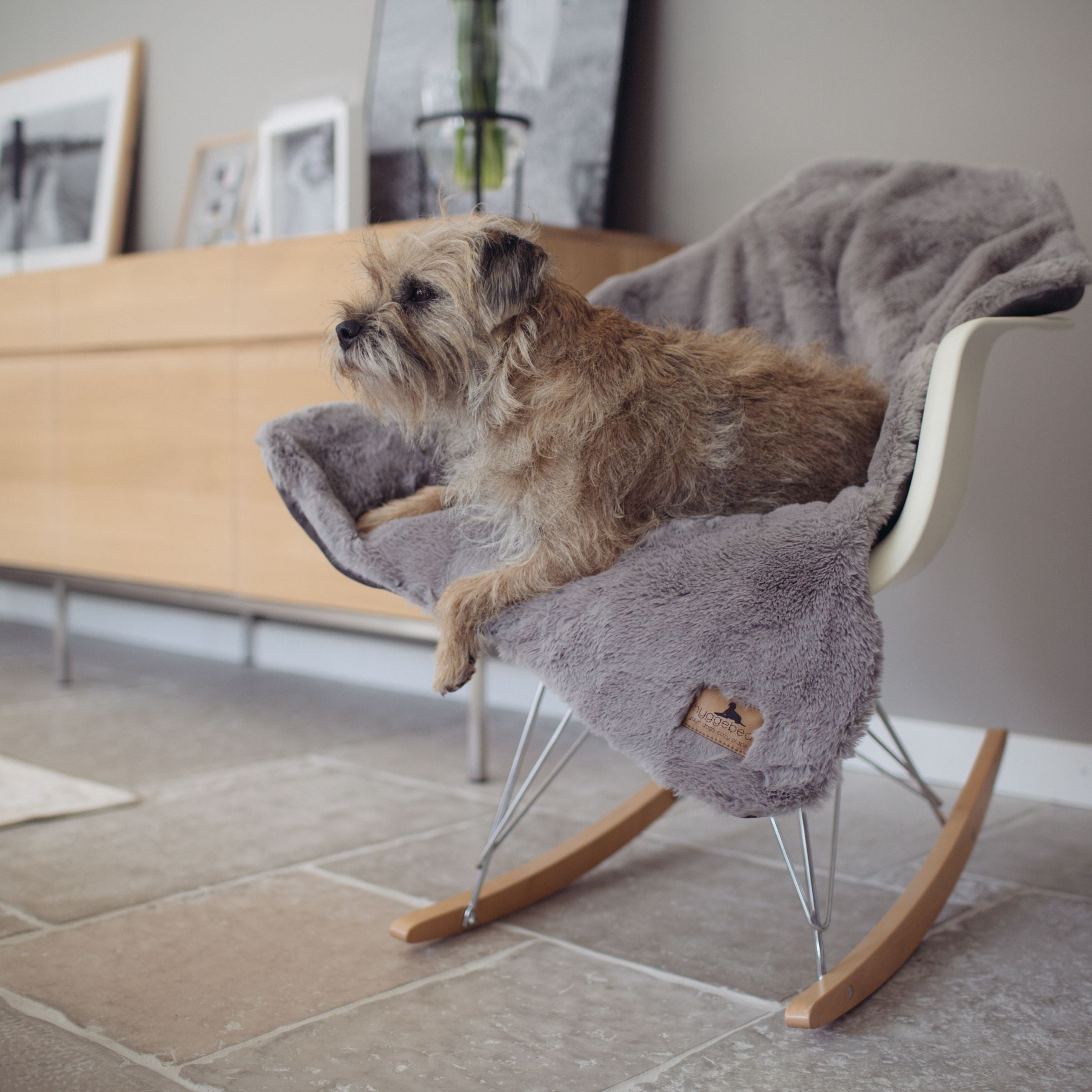 Kleiner Border Terrier entspannt auf der grauen Hyggelamb Hundedecke Stone drapiert über einem weißen Designer-Schaukelstuhl