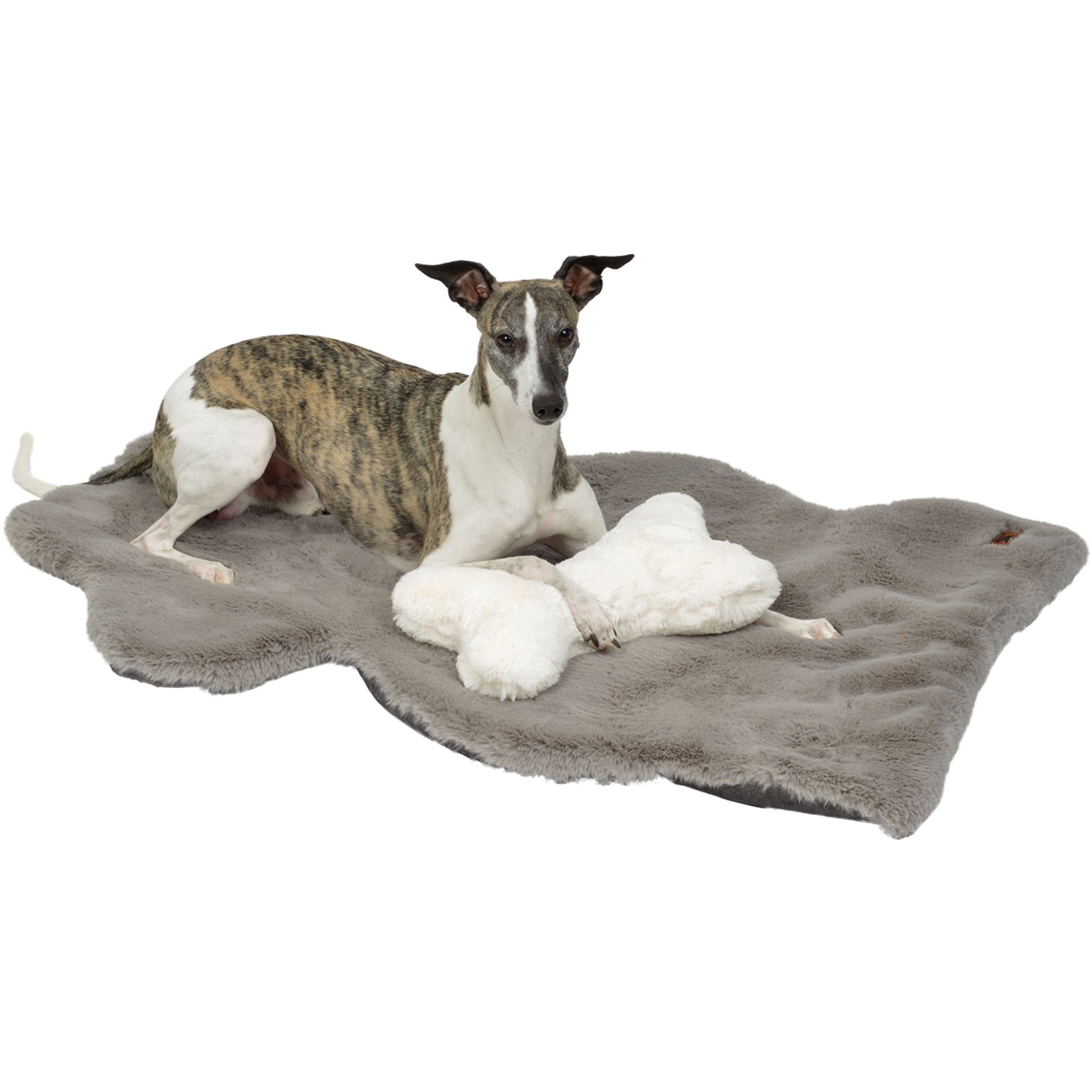 Freigestellte Hundedecke Hyggelamb in Lammfell-Optik in Stone Grau mit darauf liegendem gestromten Whippet und weißem Kuschelknochen