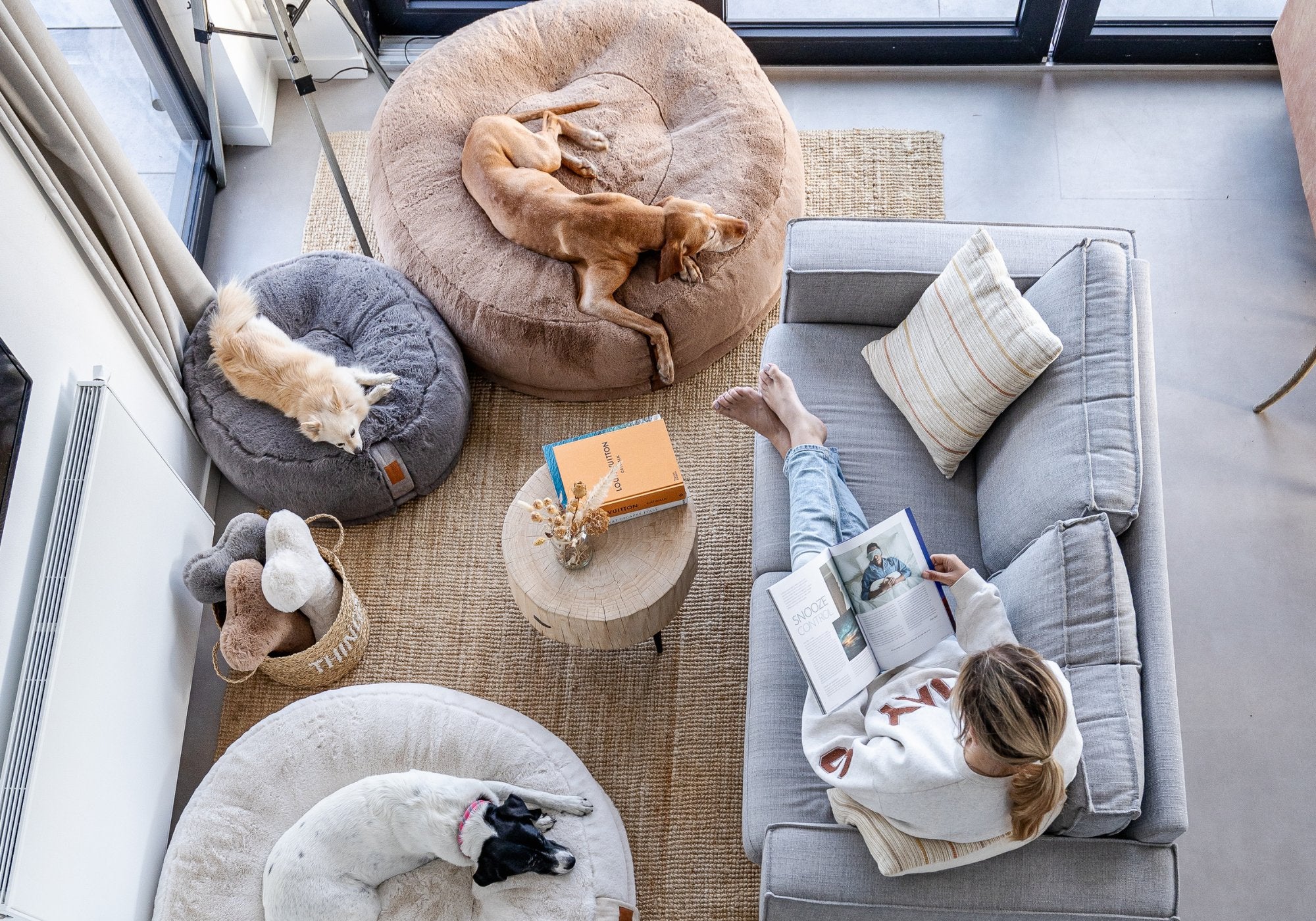 Drei Hunde schlafen entspannt in orthopädischen Hyggebed Hundebetten in verschiedenen Farben (beige, stone, maroon) im modernen Wohnzimmer neben Sofa.